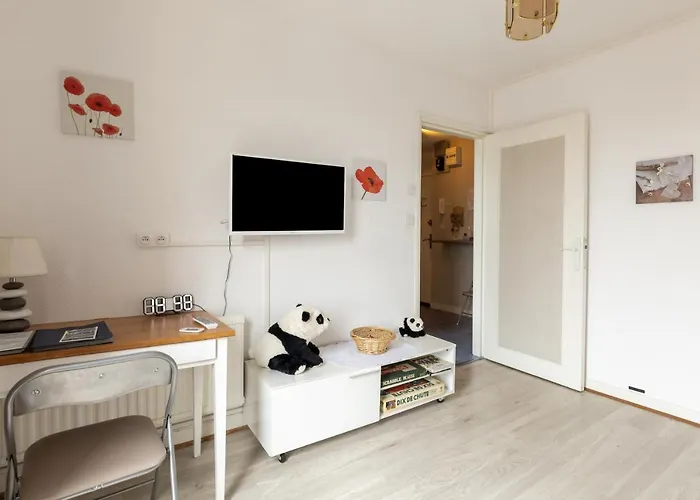 公寓 Au Mans 38 M² Avec Vue