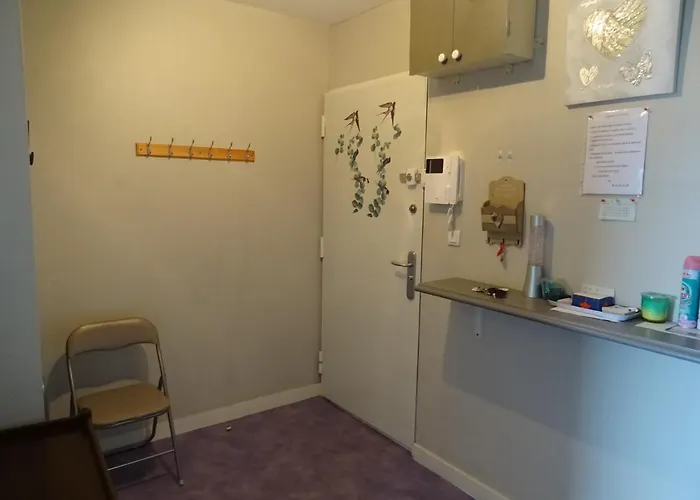 公寓 Au Mans 38 M² Avec Vue 勒芒