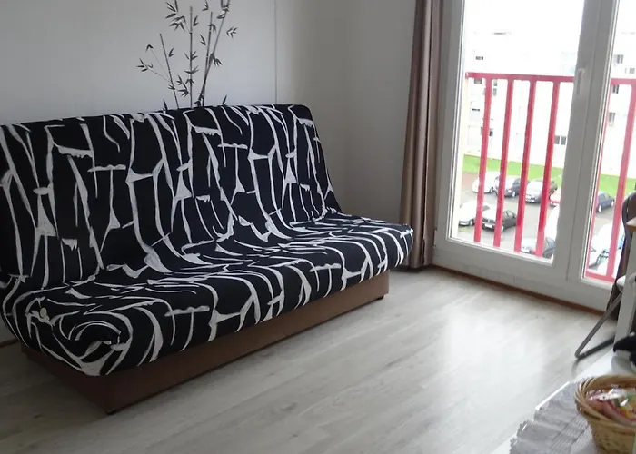 Au Mans 38 M² Avec Vue