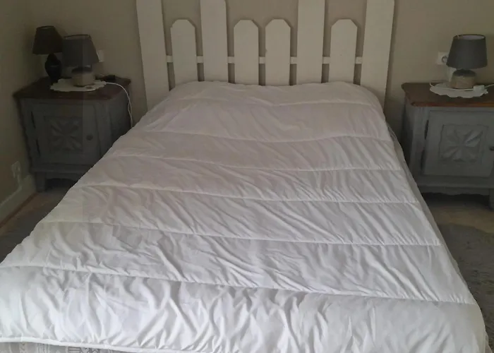 Au Mans 38 M² Avec Vue *